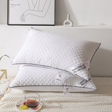 Radiant Rest Feather Velvet Pillow