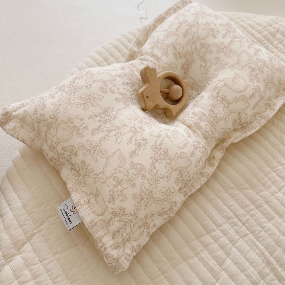 DreamSoft Ins Style Cute Pillow