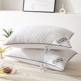Radiant Rest Feather Velvet Pillow