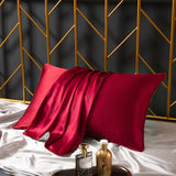 SilkenAura Heavy 25 Momme Silk Pillowcase