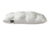 PlushZen Feather Pillows 