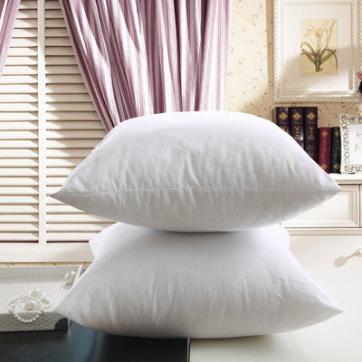 WhisperSoft Sofa Cushion Core