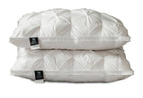 PlushZen Feather Pillows 
