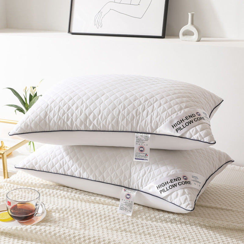 Radiant Rest Feather Velvet Pillow 