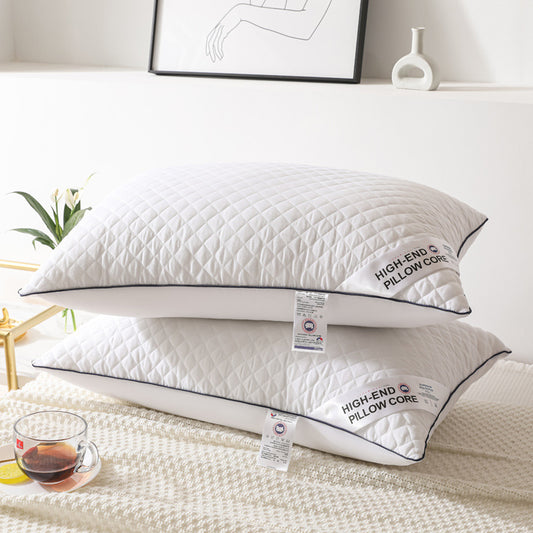 Radiant Rest Feather Velvet Pillow 