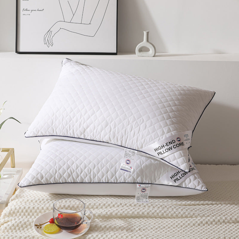 Radiant Rest Feather Velvet Pillow 