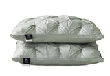 PlushZen Feather Pillows 
