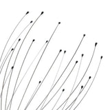 Black hair strands on a white background