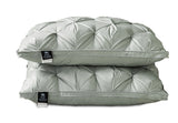 PlushZen Feather Pillows 